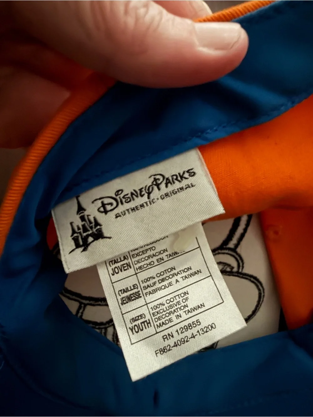 Disney owned trip